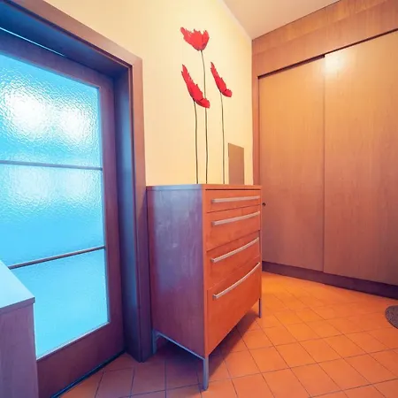 New Renovated Studio In With Free Parking